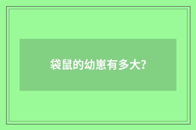 袋鼠的幼崽有多大?