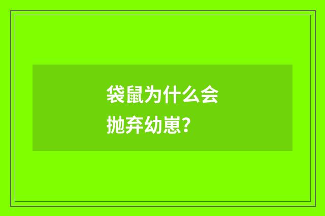 袋鼠为什么会抛弃幼崽？