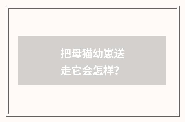 把母猫幼崽送走它会怎样?