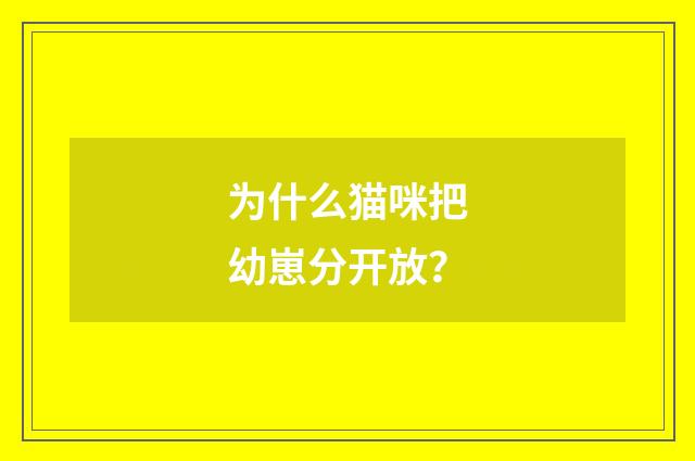 为什么猫咪把幼崽分开放?