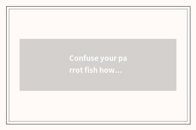 Confuse your parrot fish how long does young son give a shelter?