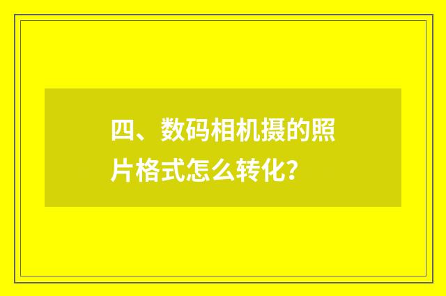 四、数码相机摄的照片格式怎么转化?