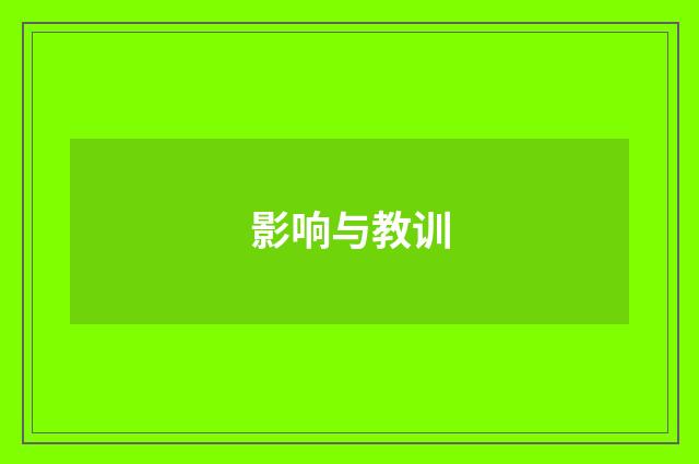 影响与教训