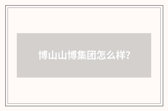 博山山博集团怎么样？