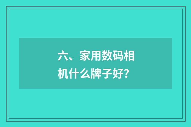 六、家用数码相机什么牌子好？