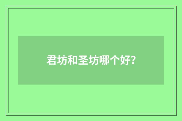 君坊和圣坊哪个好？