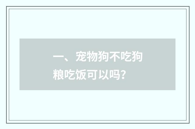 一、宠物狗不吃狗粮吃饭可以吗?