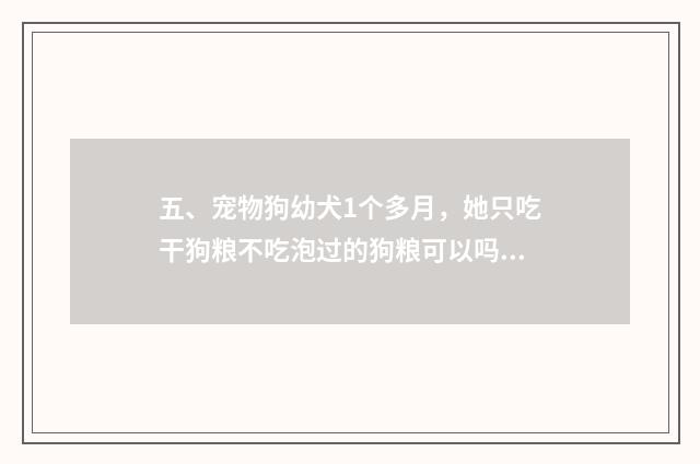 五、宠物狗幼犬1个多月，她只吃干狗粮不吃泡过的狗粮可以吗？