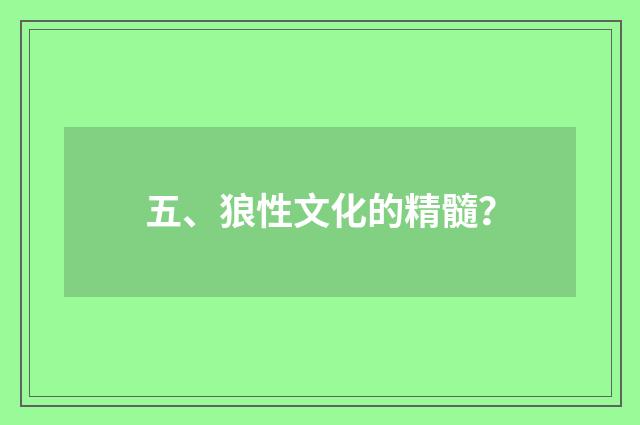 五、狼性文化的精髓?