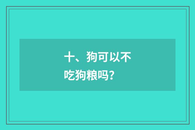 十、狗可以不吃狗粮吗?