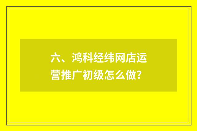 六、鸿科经纬网店运营推广初级怎么做?