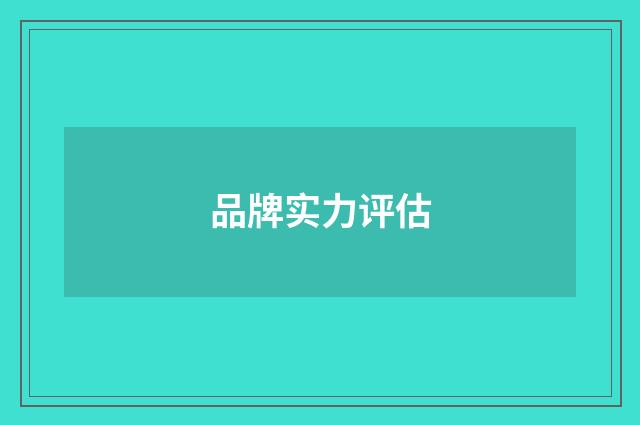 品牌实力评估