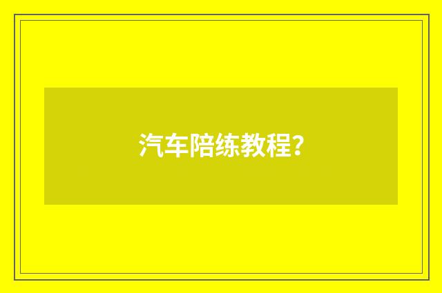 汽车陪练教程？