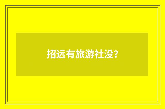 招远有旅游社没？