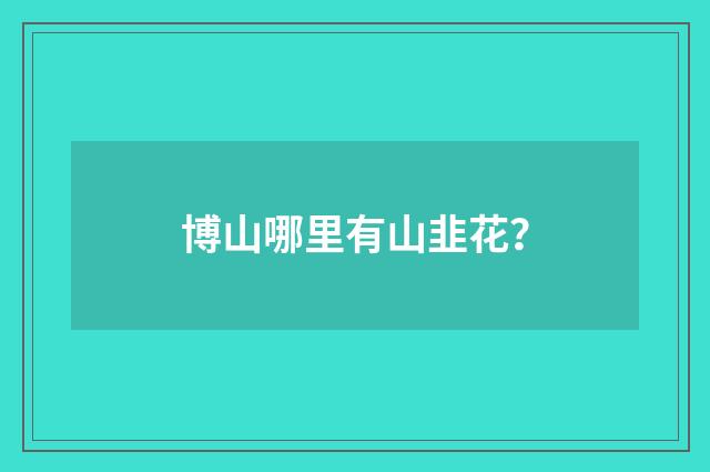 博山哪里有山韭花?