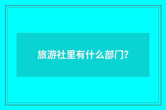 旅游社里有什么部门?