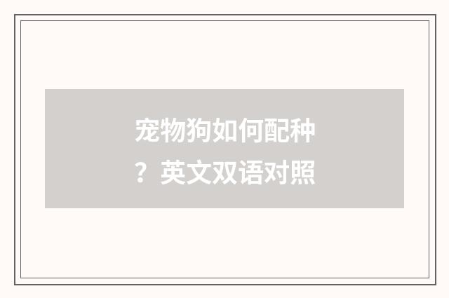 宠物狗如何配种?英文双语对照