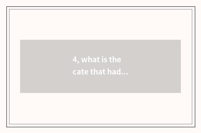 4, what is the cate that had better Brazil eat?