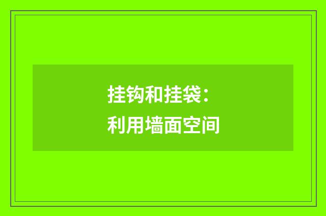 挂钩和挂袋：利用墙面空间