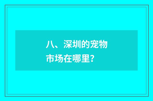 八、深圳的宠物市场在哪里?