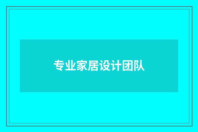 专业家居设计团队