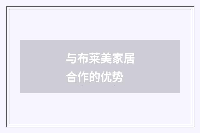 与布莱美家居合作的优势
