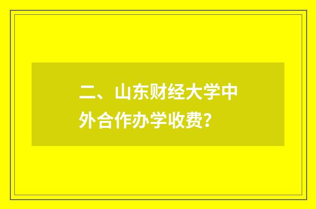 二、山东财经大学中外合作办学收费?