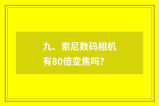九、索尼数码相机有80倍变焦吗？