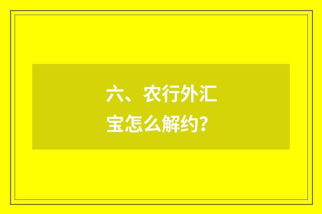 六、农行外汇宝怎么解约？