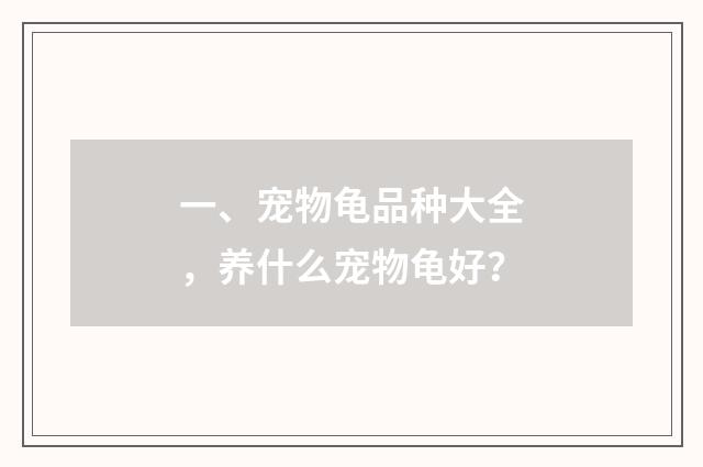 一、宠物龟品种大全，养什么宠物龟好？