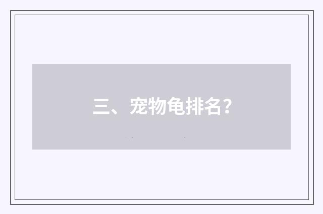 三、宠物龟排名?