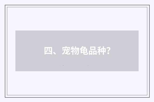 四、宠物龟品种?
