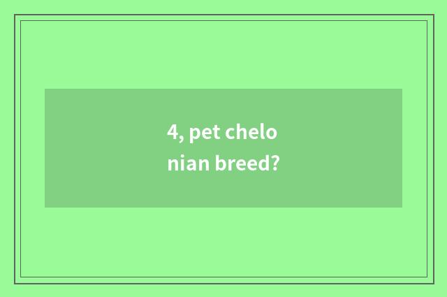 4, pet chelonian breed?