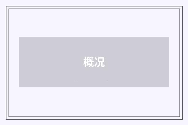 概况
