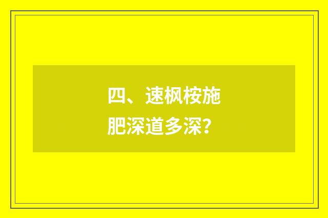四、速枫桉施肥深道多深?