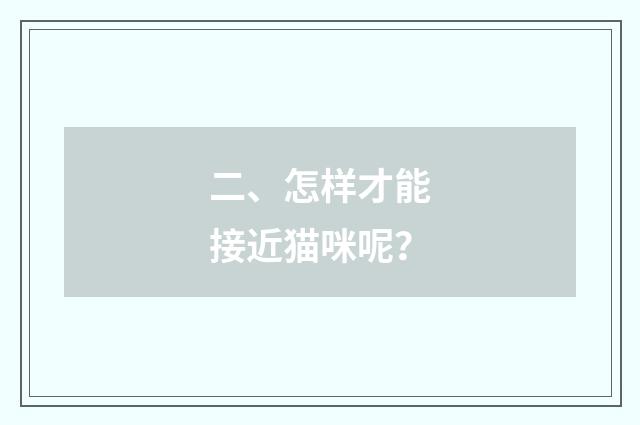 二、怎样才能接近猫咪呢？