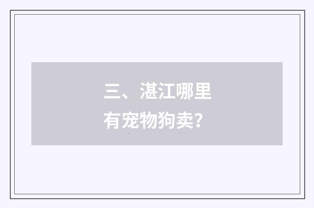 三、湛江哪里有宠物狗卖?