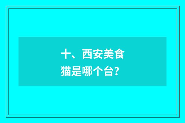 十、西安美食猫是哪个台?