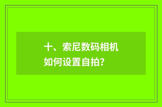 十、索尼数码相机如何设置自拍?