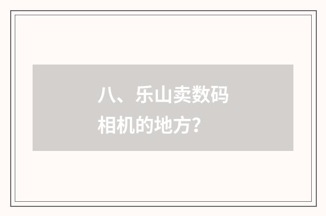八、乐山卖数码相机的地方?