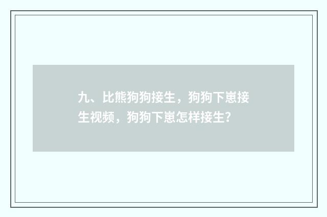 九、比熊狗狗接生,狗狗下崽接生视频,狗狗下崽怎样接生?