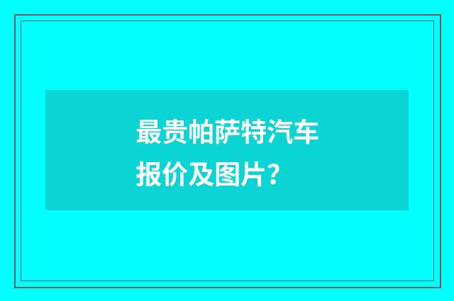 最贵帕萨特汽车报价及图片?