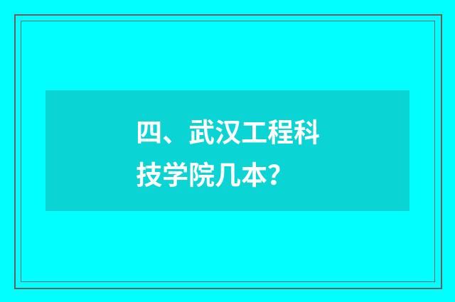 四、武汉工程科技学院几本？