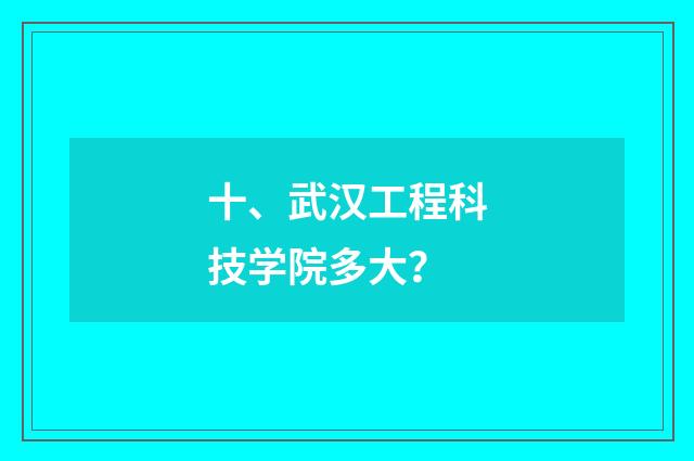 十、武汉工程科技学院多大?