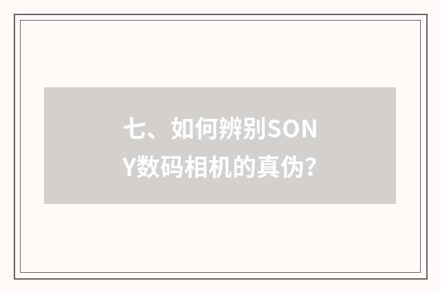 七、如何辨别SONY数码相机的真伪？