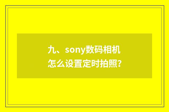九、sony数码相机怎么设置定时拍照?