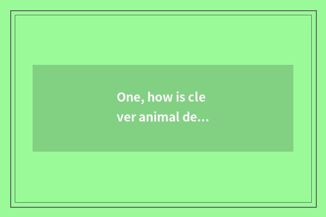 One, how is clever animal developmental in pocket clever animal?