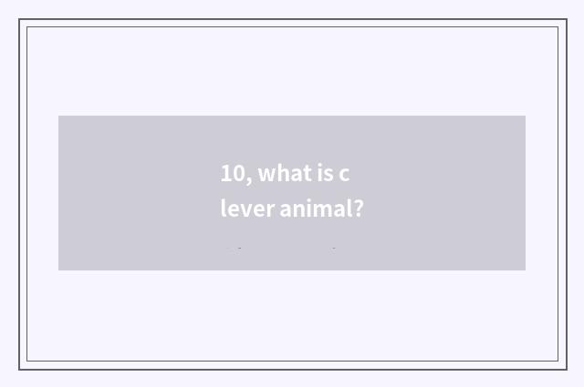 10, what is clever animal?