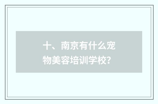 十、南京有什么宠物美容培训学校?