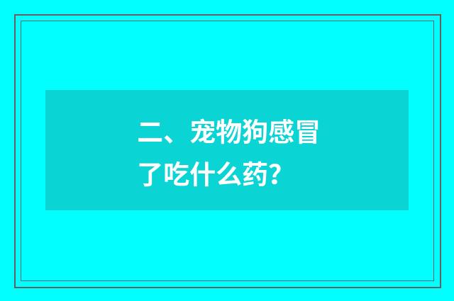 二、宠物狗感冒了吃什么药?